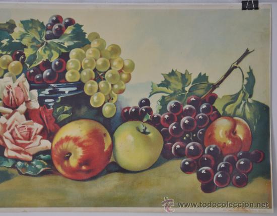 Carteles: L&aacute;mina antigua de bodeg&oacute;n de frutas. - Foto 2