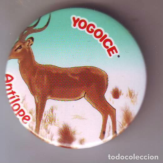 Carteles: CHAPA IMAN.YOGOICE.ANTILOPE. - Foto 1