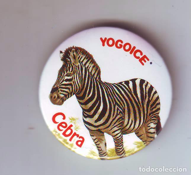 Carteles: CHAPA IMAN.YOGOICE.CEBRA. - Foto 1