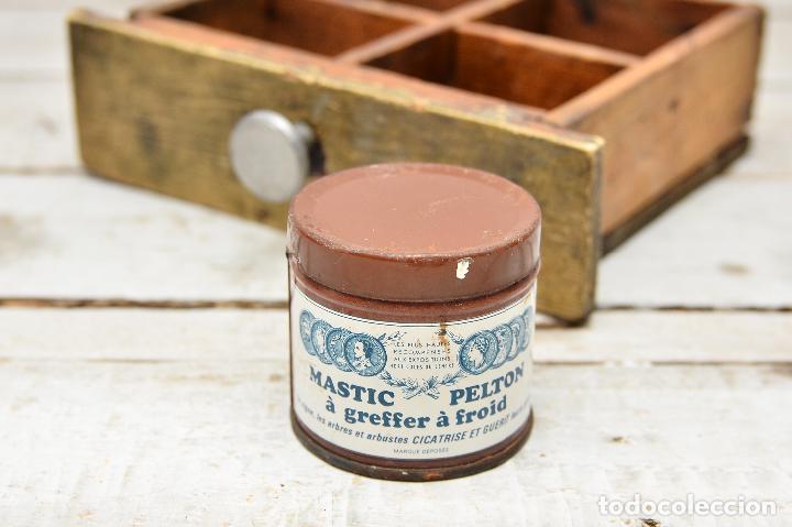 Affiches: BOTE ANTIGUO DECORATIVO CAJA FRANCESA PASTA DE CICATRIZACI&Oacute;N PARA &Aacute;RBOLES LATA VINTAGE