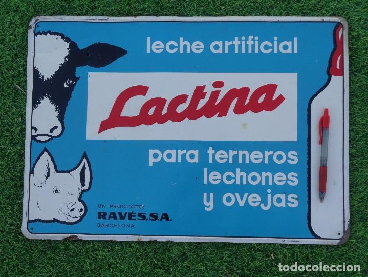 Posters: CHAPA ORIGINAL A&Ntilde;OS 50/60 LECHE ARTIFICIAL LACTINA PARA TERNEROS Y LECHONES - MED 50 X 35 CM