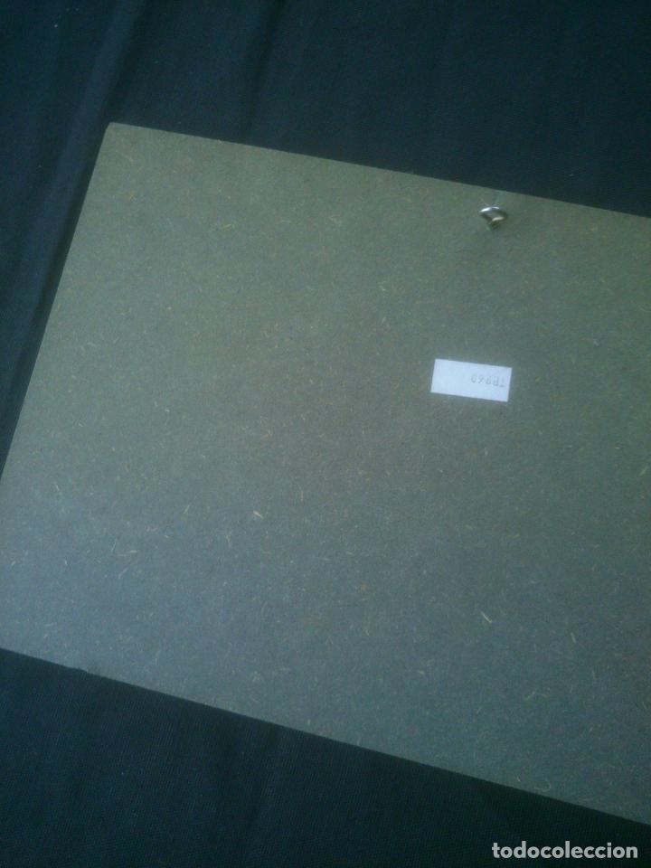 Carteles: REPRODUCCION TULIPAN. - Foto 4