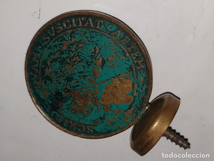 Plakate: CHAPA CURIOSA