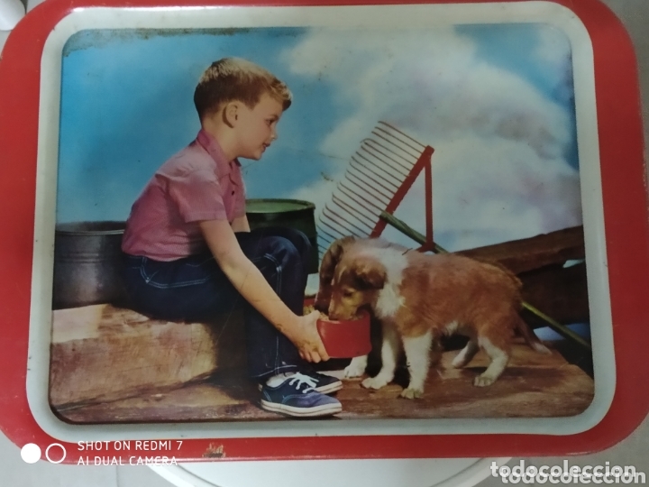 Posters: Bandeja litografia ni&ntilde;o con perro vintage a&ntilde;os 60.