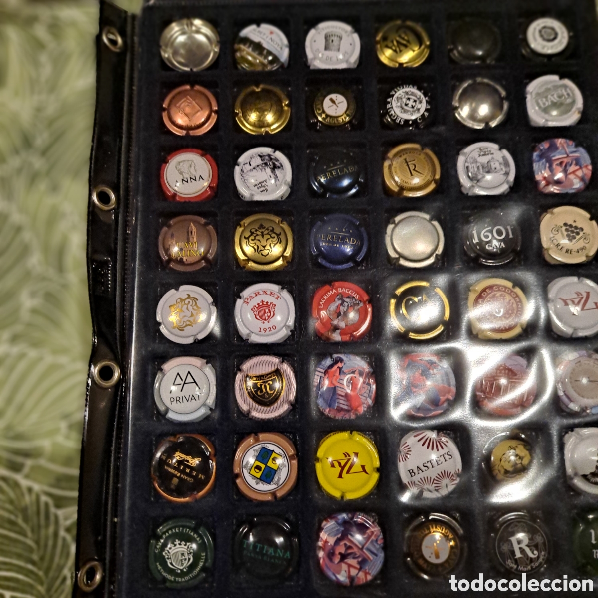 Posters: 48 placas cava diferentes, incluye hoja clasificadora