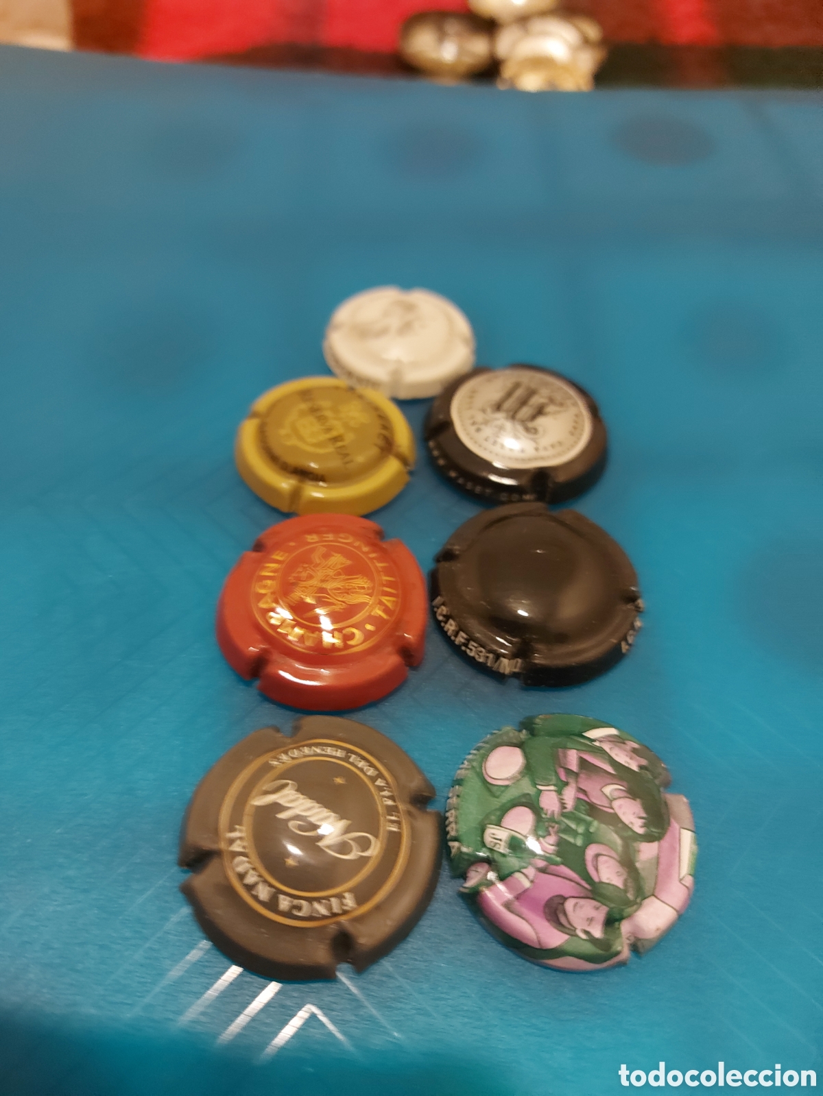 Plakate: 1AnnadeCodornlu y6mes