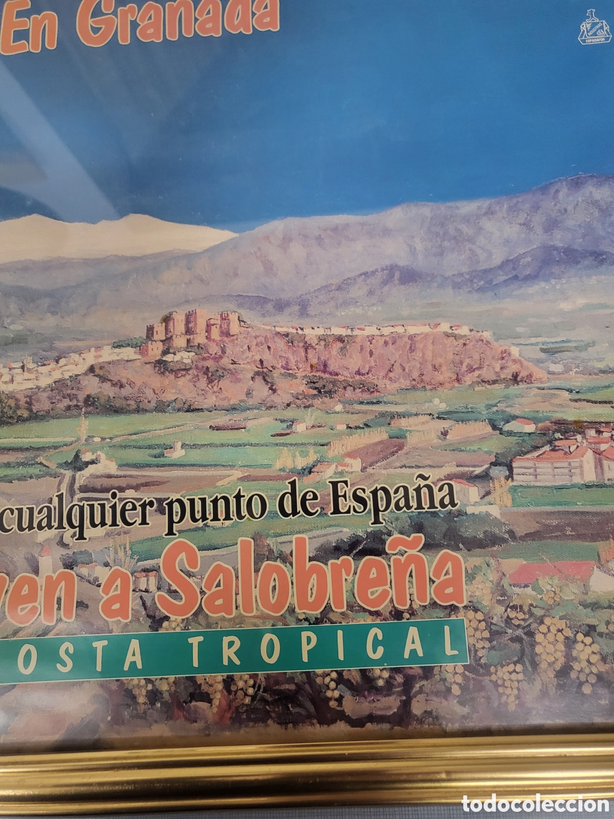 Carteles: CUADRO CASTILLO DE SALOBRE&Ntilde;A VINOS - Foto 5