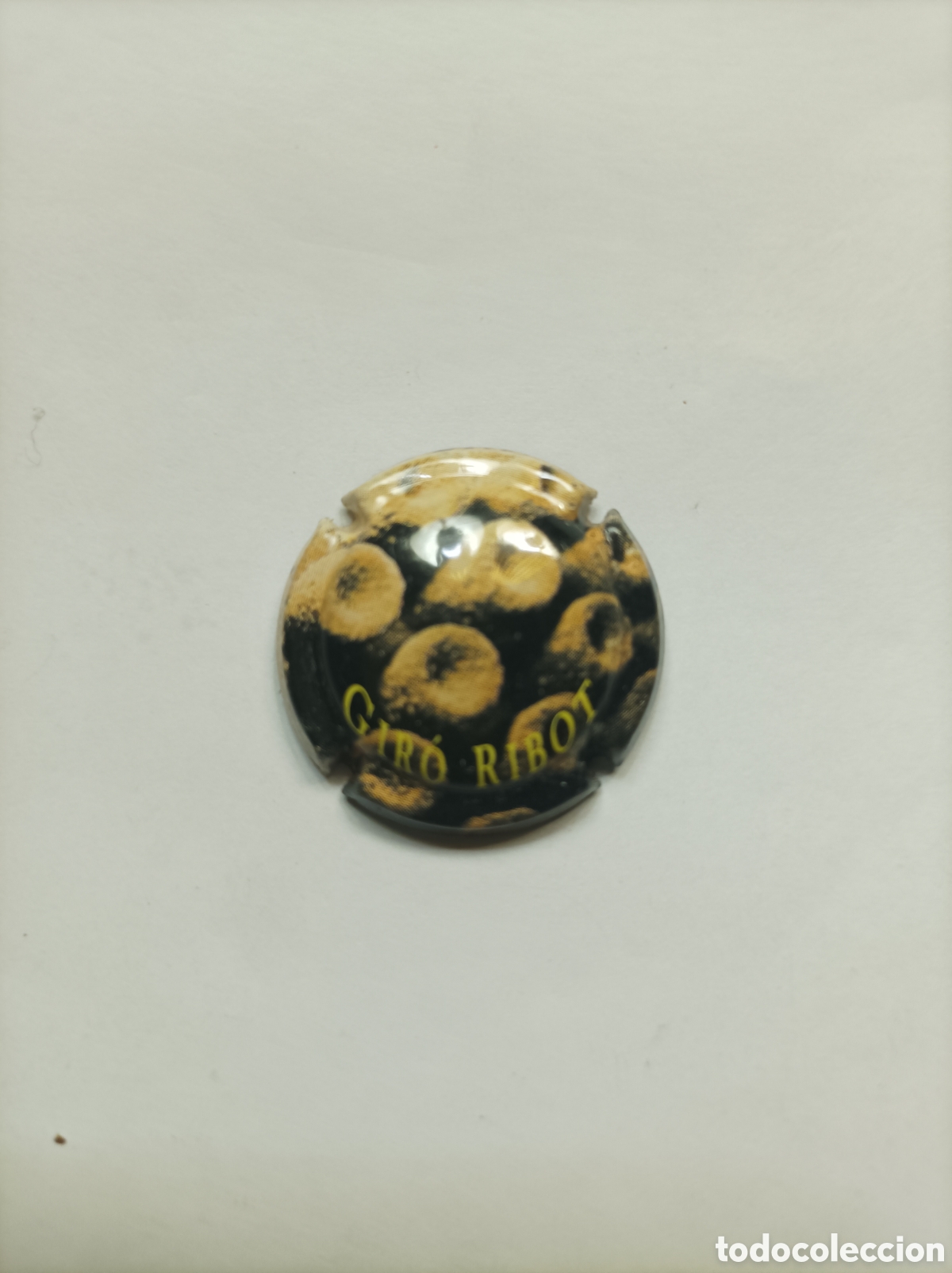 Carteles: GIRO RIBOT. CHAPA PLACA CAVA. - Foto 1