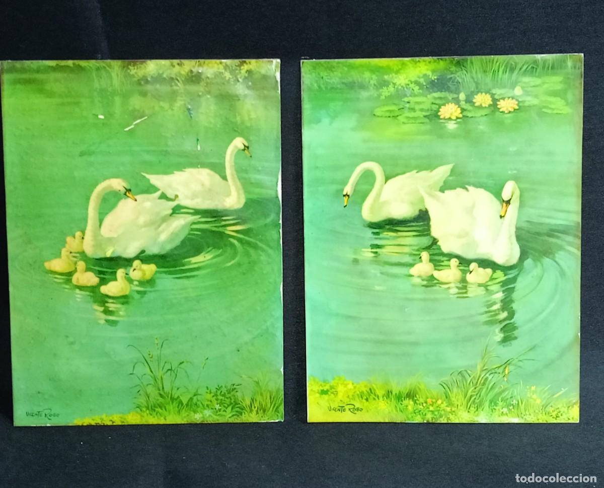 Carteles: laminas cisnes sobre chapa