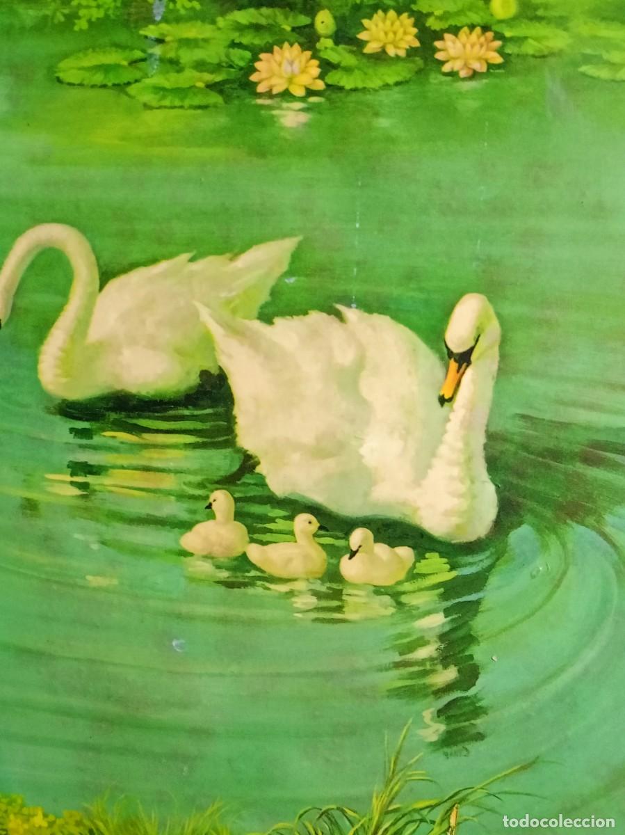 Carteles: laminas cisnes sobre chapa - Foto 3