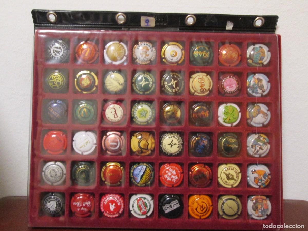 Carteles: 48 PLACA DE CAVA EN ESTUCHE - Foto 1