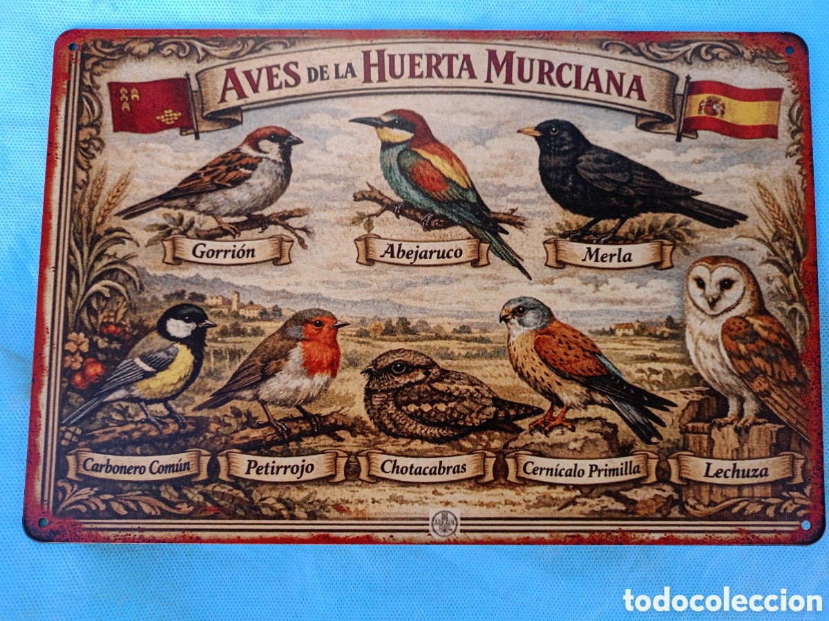 Carteles: CHAPA CON P&Aacute;JAROS Y AVES DE MURCIA - Foto 1
