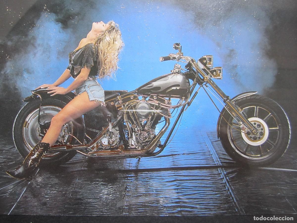 Carteles: cuadro motocicleta harley davidson vintage - Foto 1
