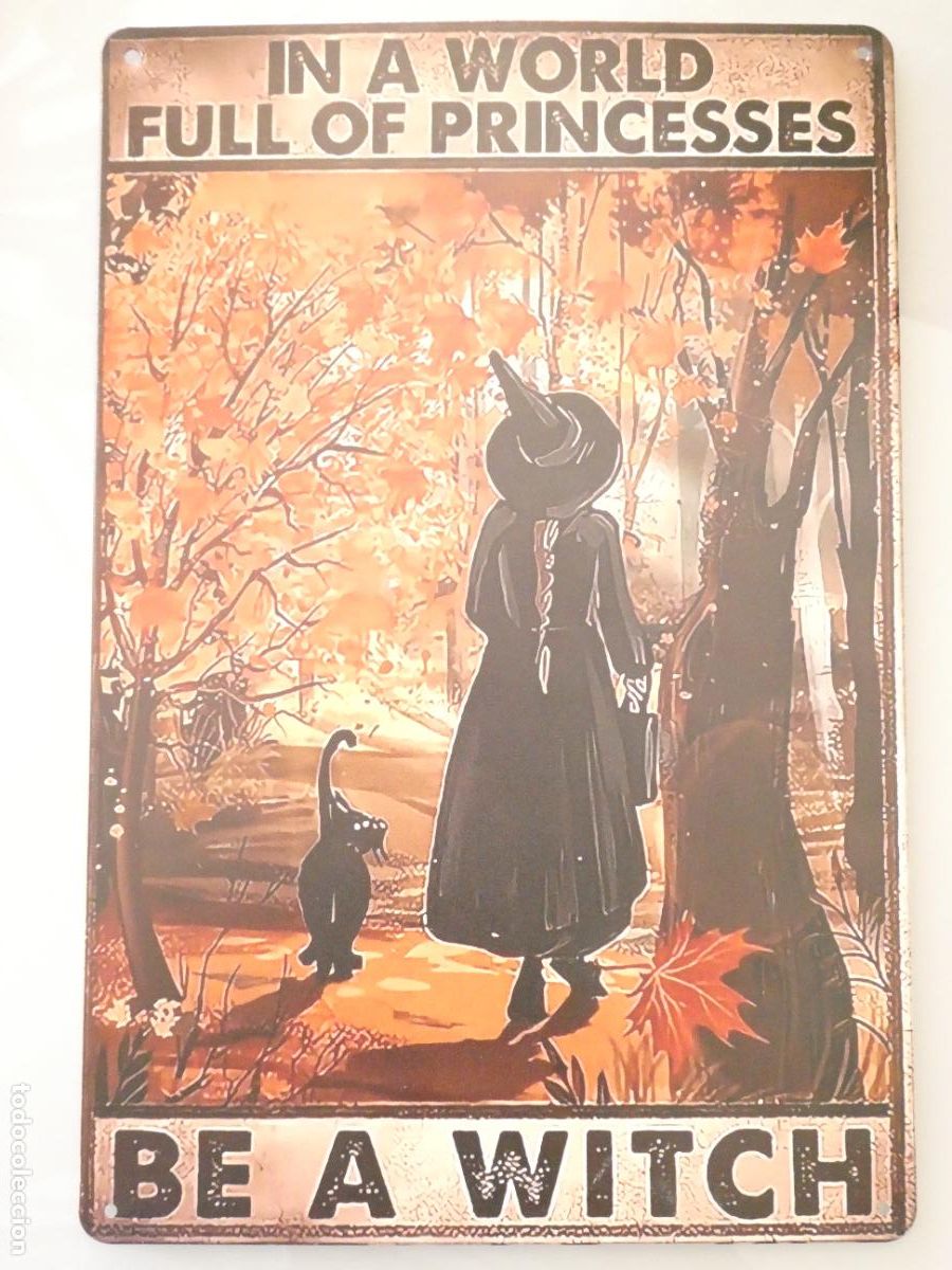 Carteles: CHAPA CARTEL MET&Aacute;LICO. PUBLICIDAD EN UN MUNDO DE PRINCESAS S&Eacute; UNA BRUJA. 30X20CM. 140GR