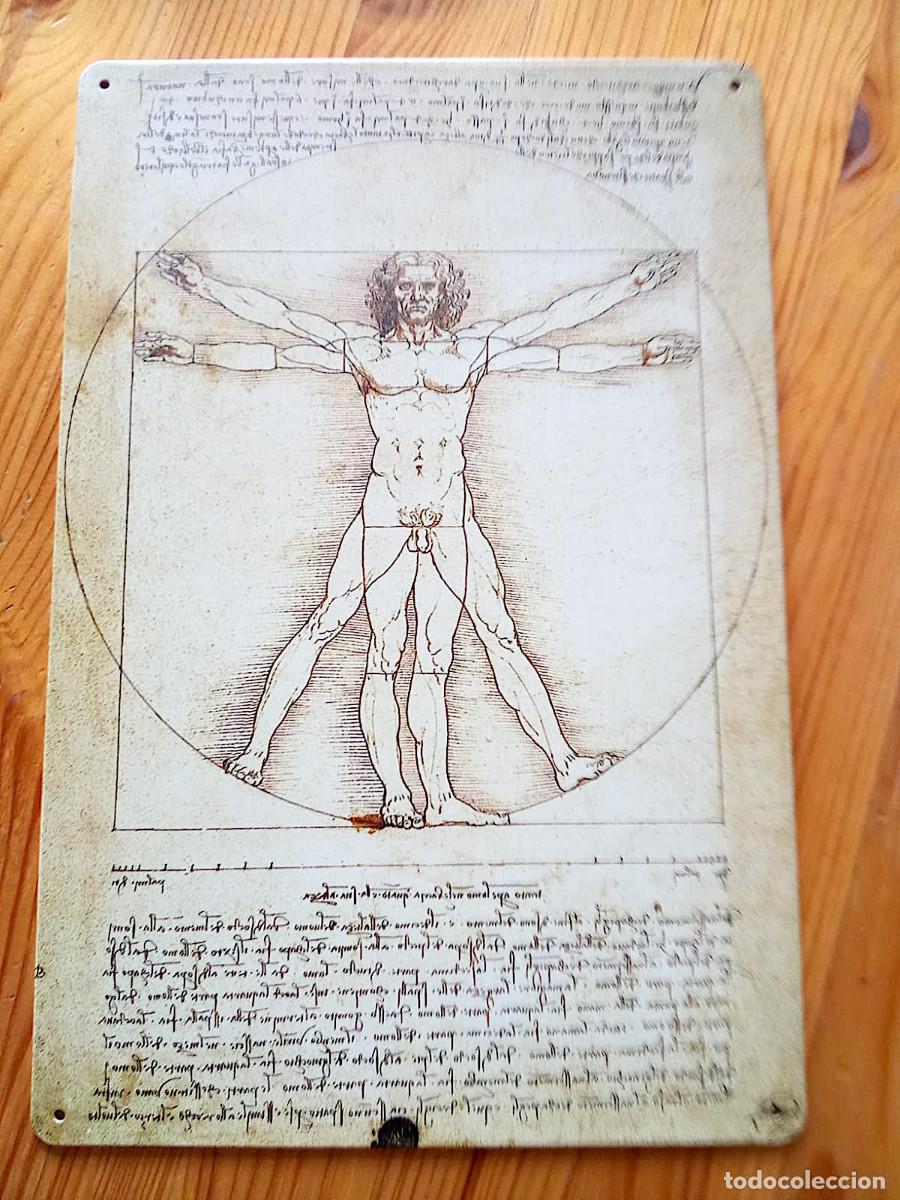 Carteles: Cartel Hombre de Vitrubio de Da Vinci
