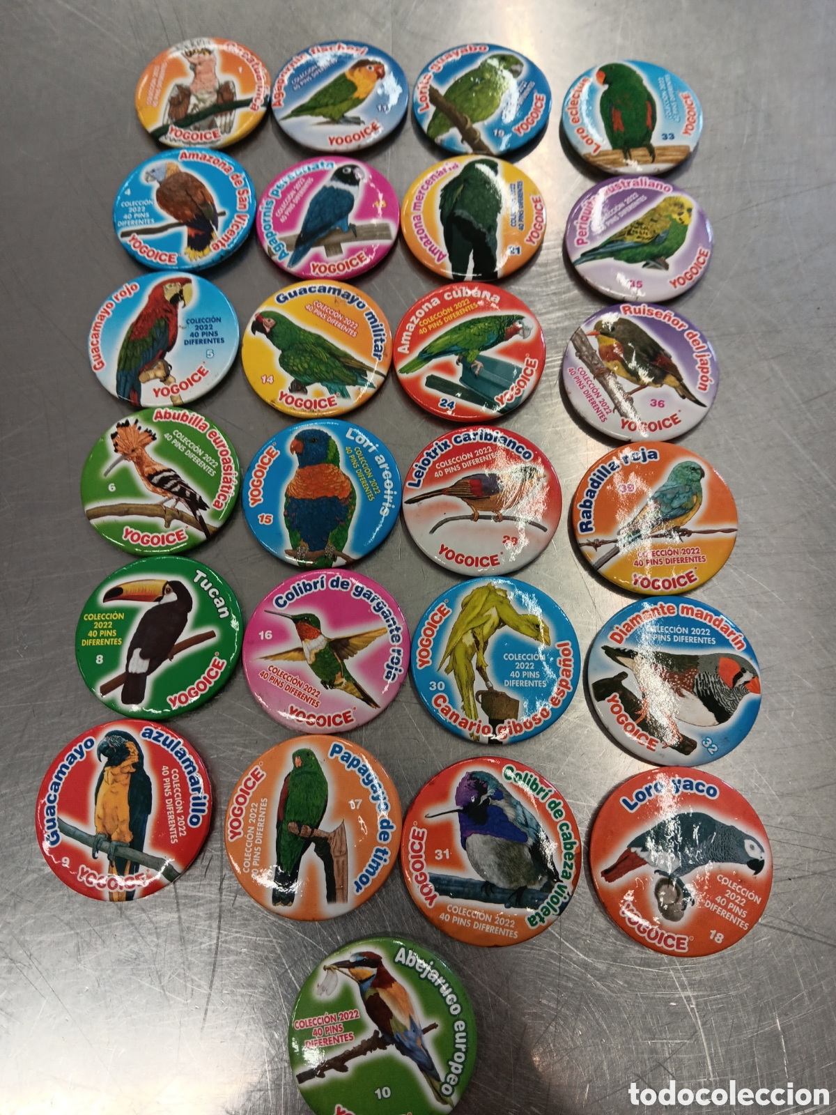 Plakate: Lote de 25 imanes. Tazos de aves.