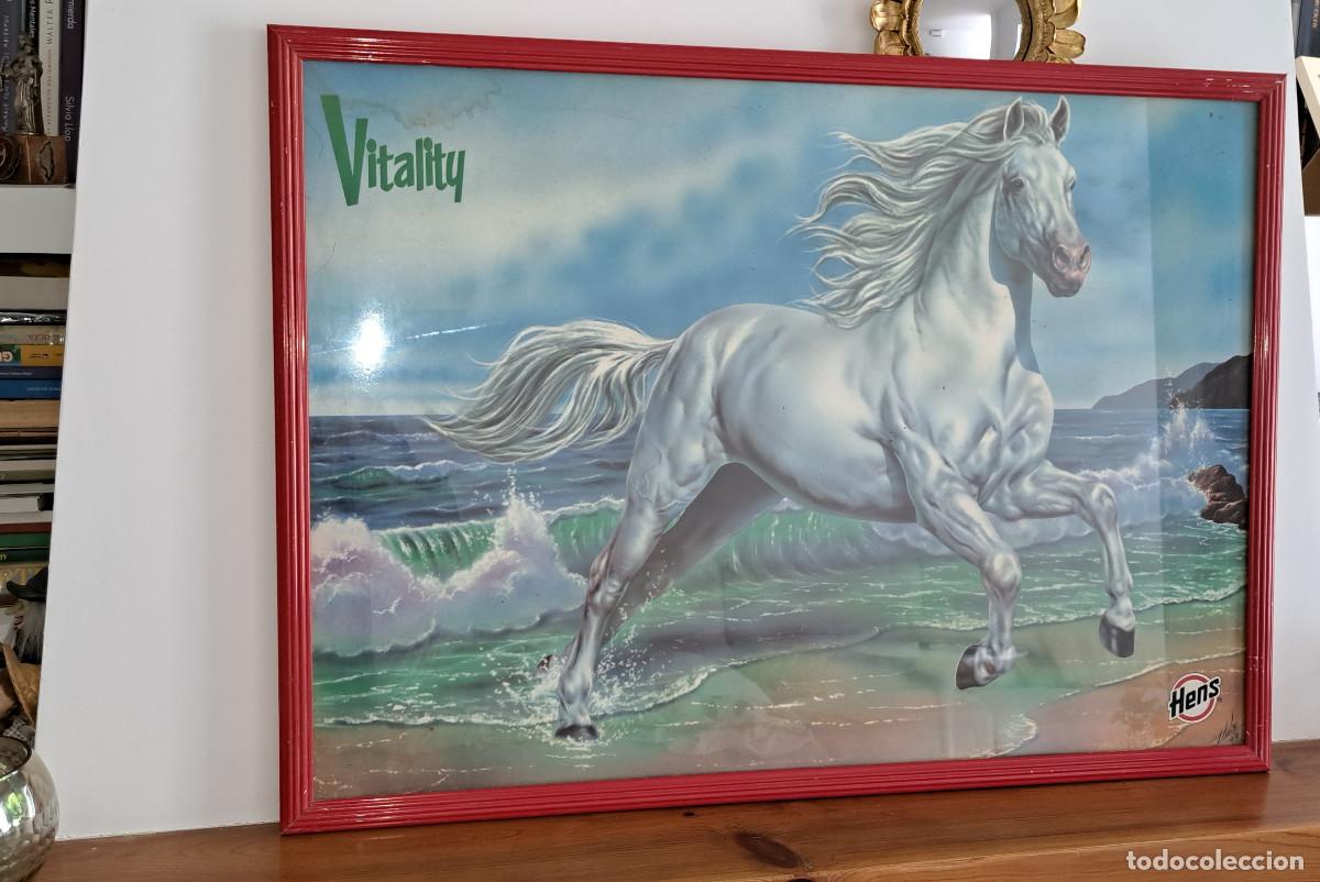 Carteles: HENS - PIENSO PARA CABALLOS - MARCA; VITALITY - GRAN CARTEL EMMARCADO Y CON CRISTAL