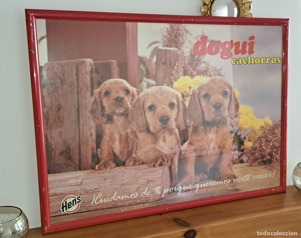 Carteles: HENS - PIENSO PARA CACHORROS - DOGUI CACHORROS - CARTEL ENMARCADO Y ACRISTALADO