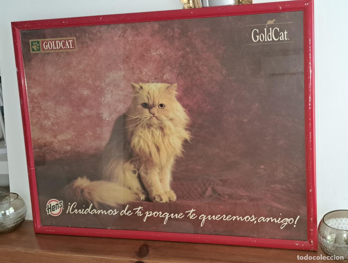 Carteles: HENS - PIENSO PARA GATOS - GOLDCAT - CARTEL ENMARCADO Y ACRISTALADO