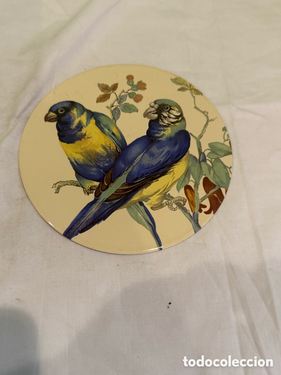 Carteles: Placa decorativa antigua de hierro esmaltado con pareja de loros &ndash; Original a&ntilde;os 50 &ndash; 14 cm