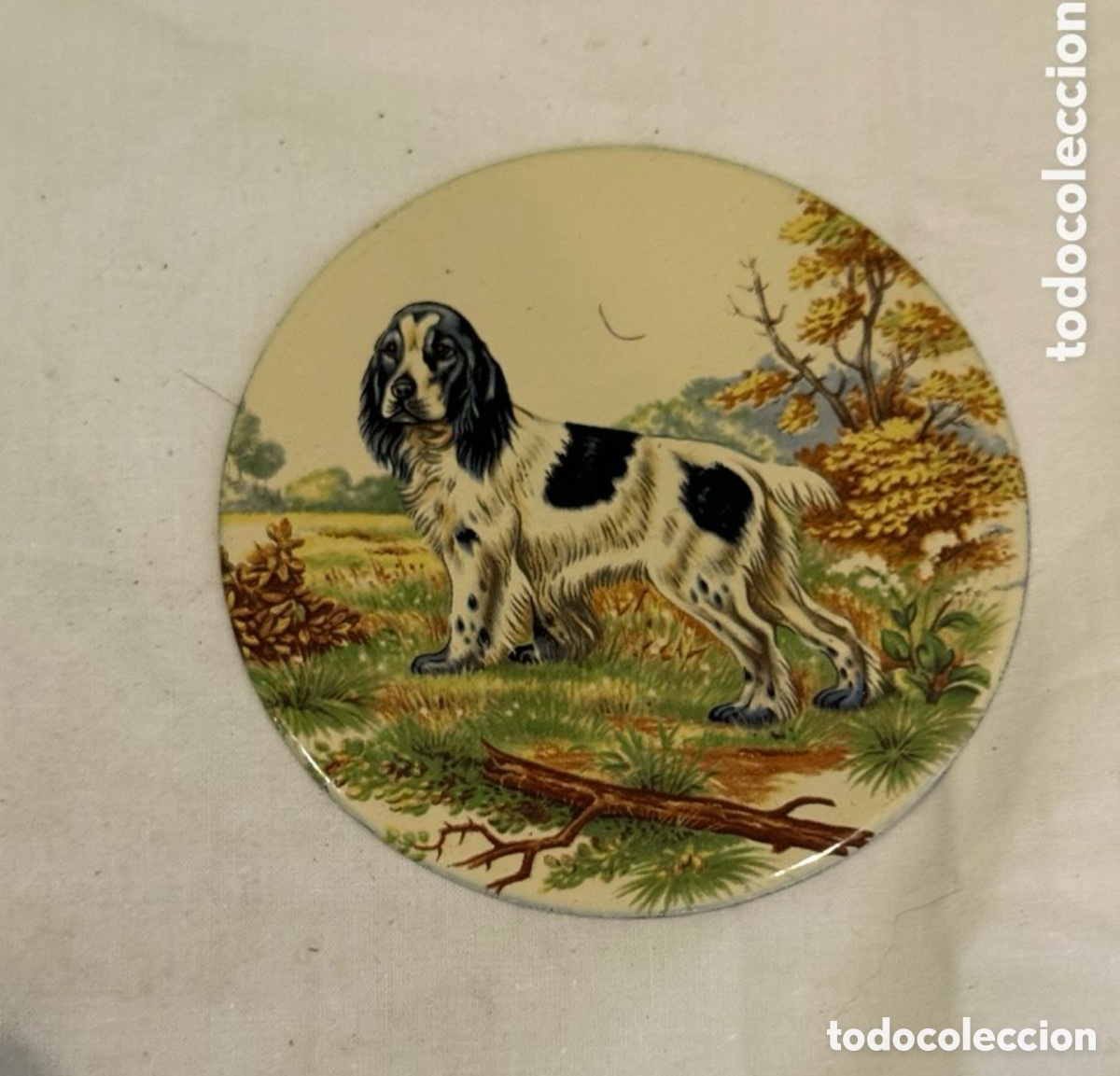 Carteles: Placa decorativa antigua de hierro esmaltado con perro de caza setter &ndash; Original a&ntilde;os 50