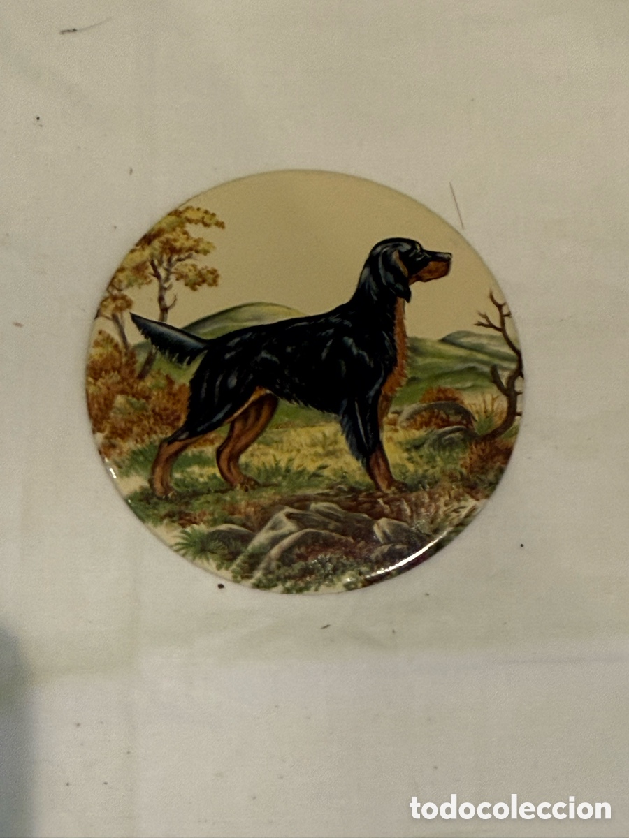 Carteles: Placa decorativa antigua de hierro esmaltado con perro Gordon Setter &ndash; Original a&ntilde;os 50