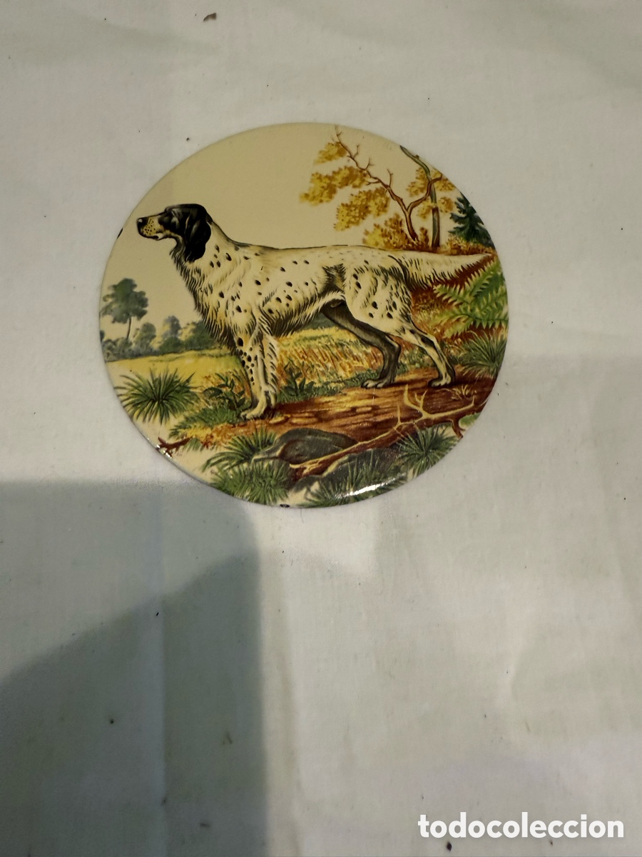 Carteles: Placa decorativa antigua de hierro esmaltado con perro Setter Ingl&eacute;s &ndash; Original a&ntilde;os 50