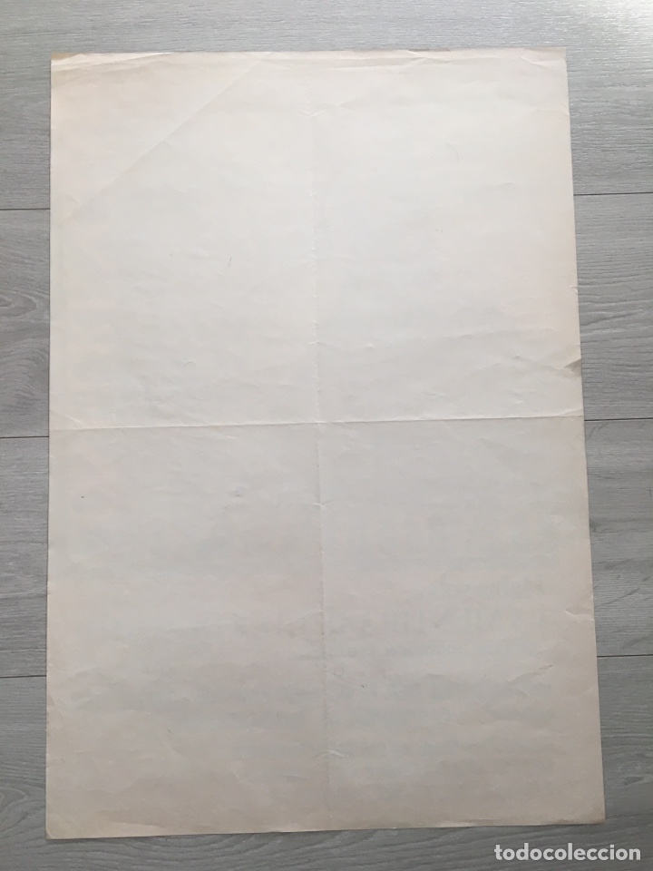 Carteles pol&iacute;ticos: CARTEL DAVID IRVING. CEDADE - Foto 2