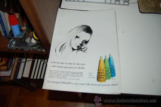 Carteles publicitarios: HOJA PUBLICITARIA DE CHAMP&Uacute; COLGATE. 1969 - Foto 1