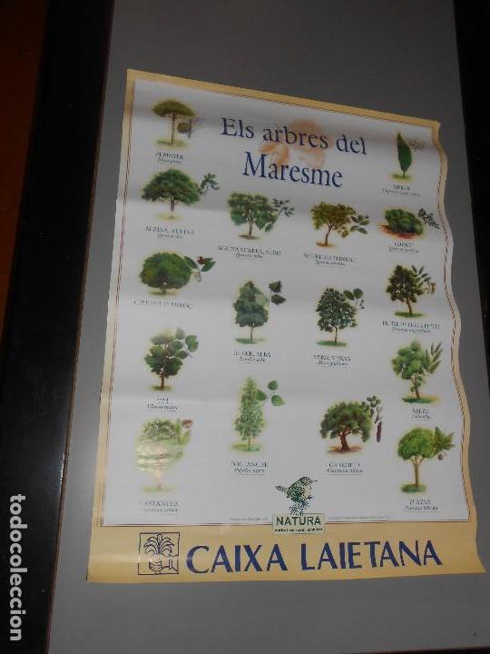 Carteles publicitarios: ELS ARBRES DEL MARESME - Foto 2