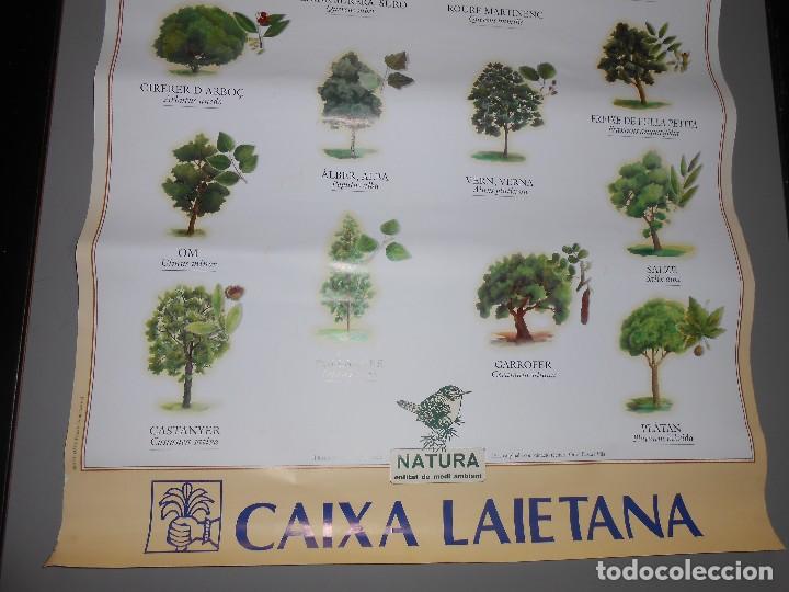 Carteles publicitarios: ELS ARBRES DEL MARESME - Foto 3
