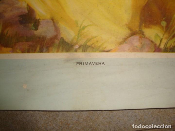Carteles publicitarios: MARCONI - Foto 3