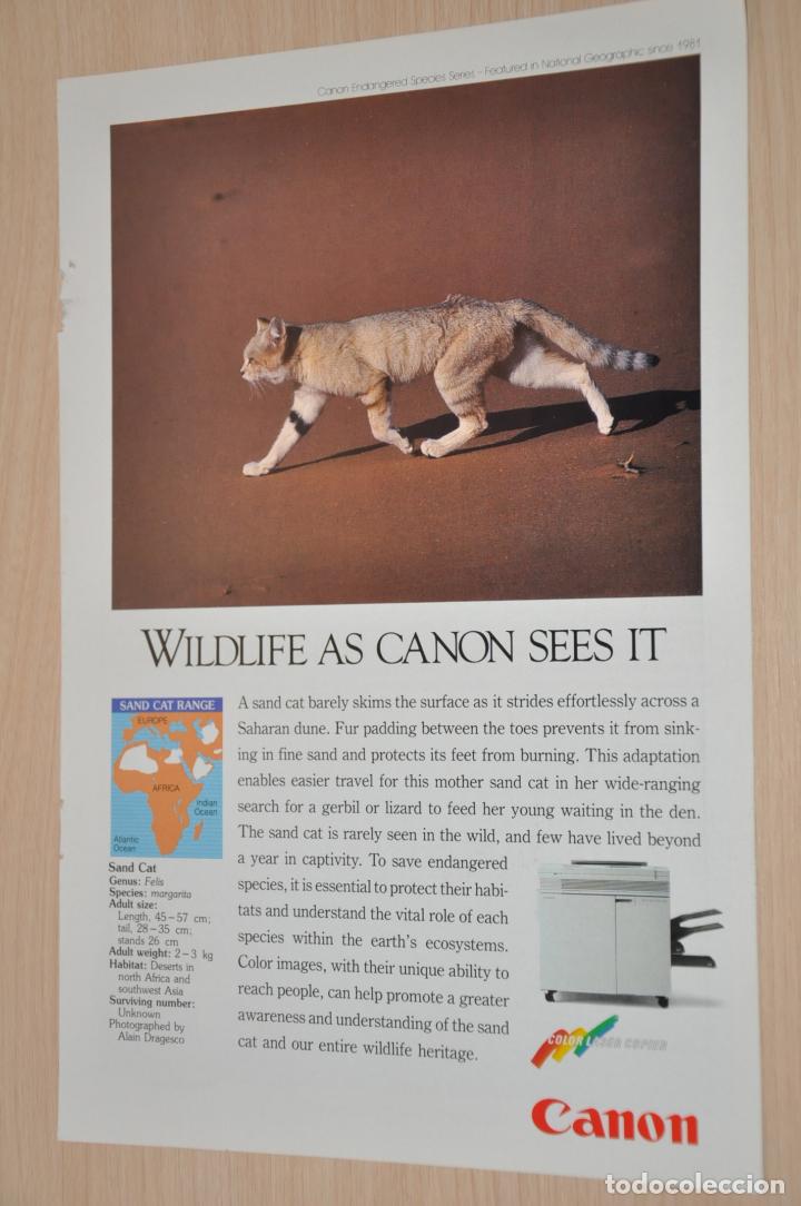 Carteles publicitarios: hoja publicidad canon - Foto 1
