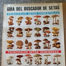 Cartazes Publicitários: GUIA DEL BUSCADOR DE SETAS: COMESTIBLES Y VENENOSAS - AÑO 1970 - 82,5 X 61 CM. Lote 339790808
