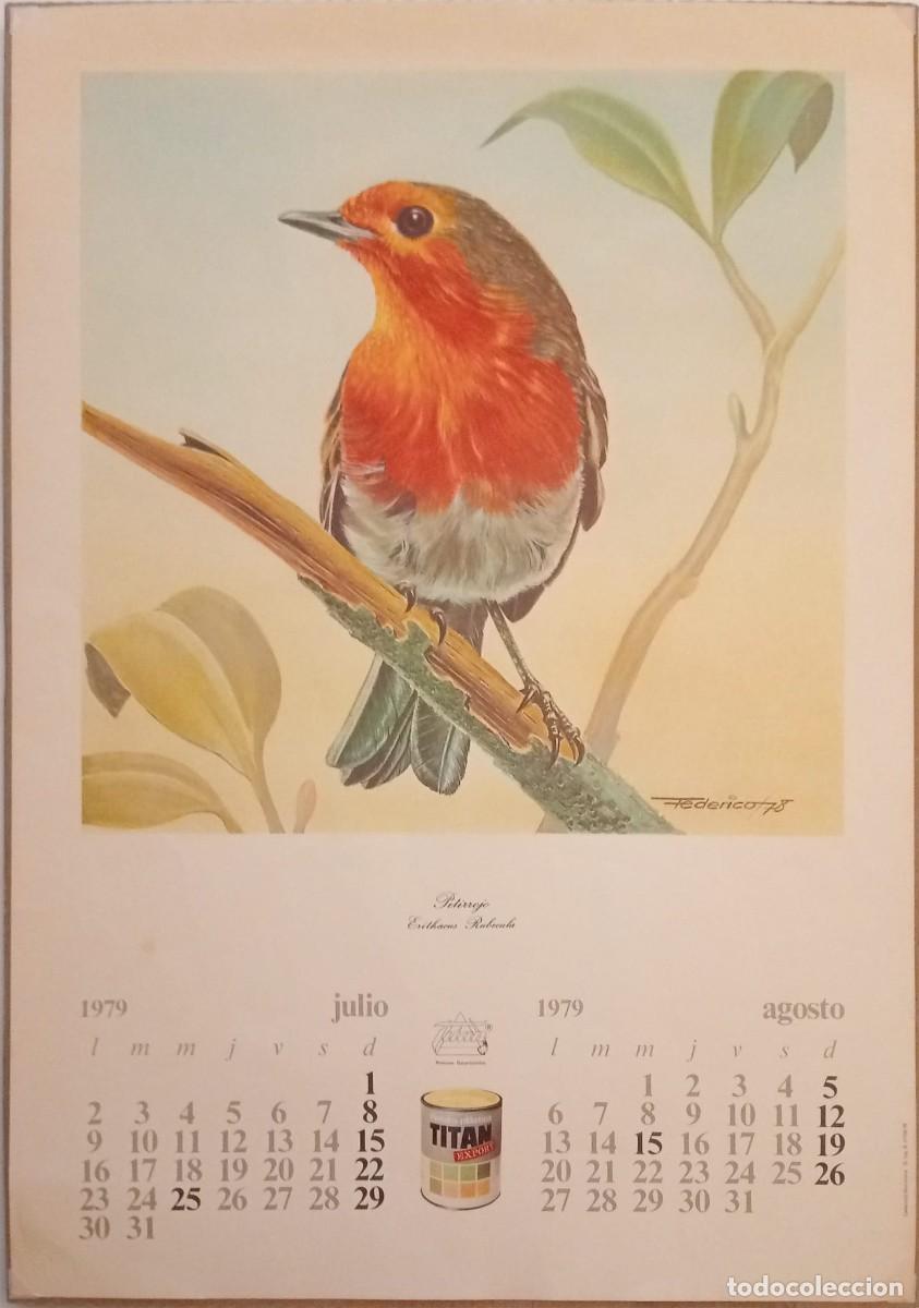 Carteles Publicitarios: TITAN PINTURAS - PETIRROJO : ERITHACUS RUBECULA - JULIO/AGOSTO 1979 - 50 x 36 Cm