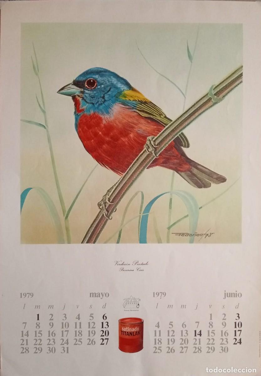 Carteles Publicitarios: TITANLUX - PINTURAS - VERDER&Oacute;N PINTADO: PASSERINA CIRIS - MAYO/JUNIO 1979 - 50 x 36 Cm
