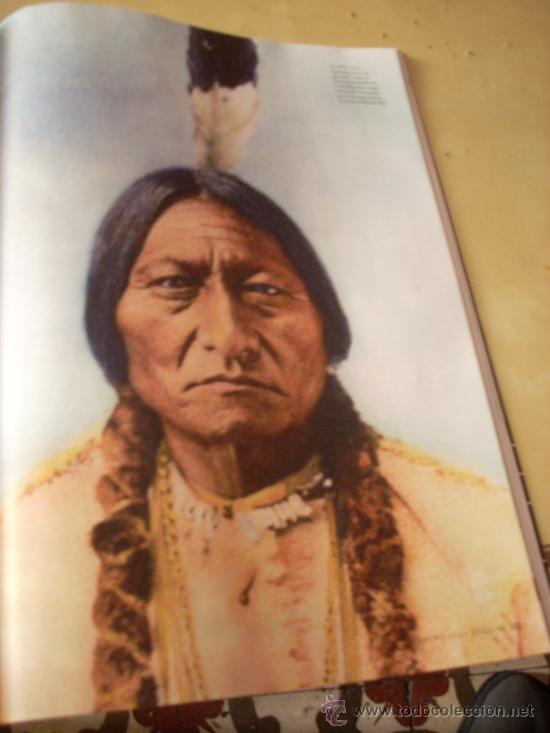 Affissi Tauromachia: Fotograf&iacute;a de Toro Sentado. P&aacute;gina de prensa.