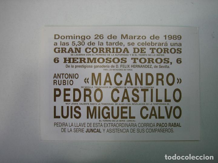 Carteles toros: 1. Programa plaza de toros de Cordoba - Foto 2