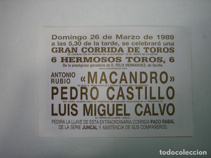 Carteles toros: 1. Programa plaza de toros de Lucena - Foto 2