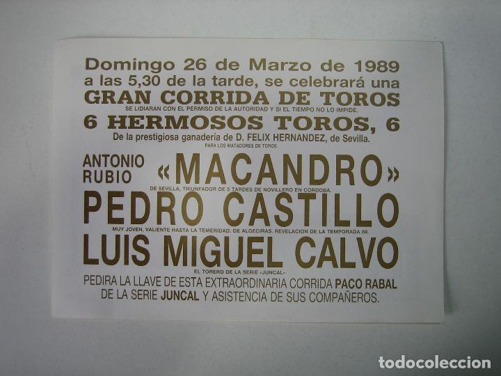 Carteles toros: 1. Programa plaza de toros de Cordoba - Foto 2