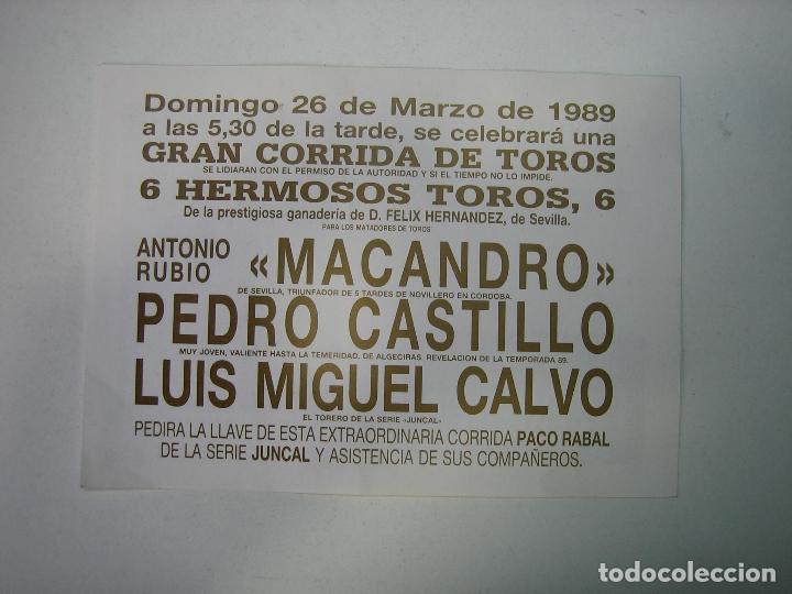 Carteles toros: 1. Programa plaza de toros de Cordoba - Foto 2