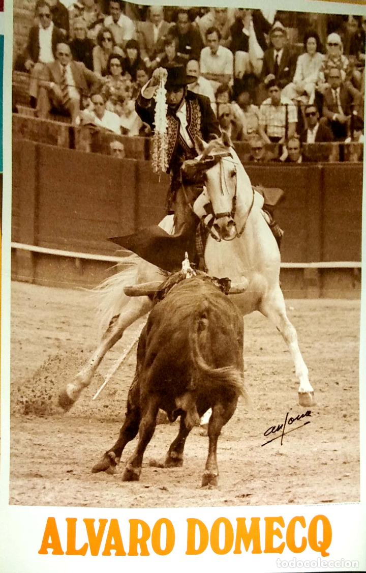 Carteles toros: CARTEL. ALVARO DOMECQ. - Foto 1