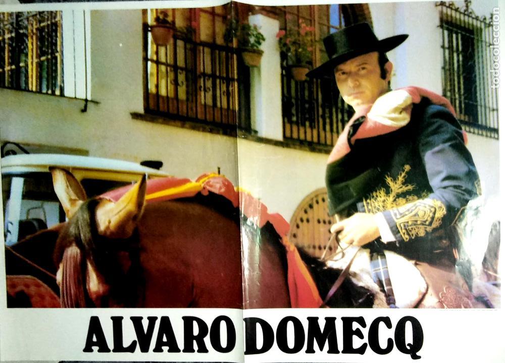 Carteles toros: CARTEL. ALVARO DOMECQ. - Foto 1