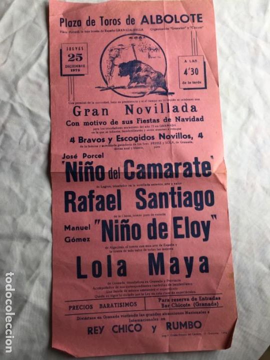 Carteles toros: Plaza de toros de Albolote - Foto 1
