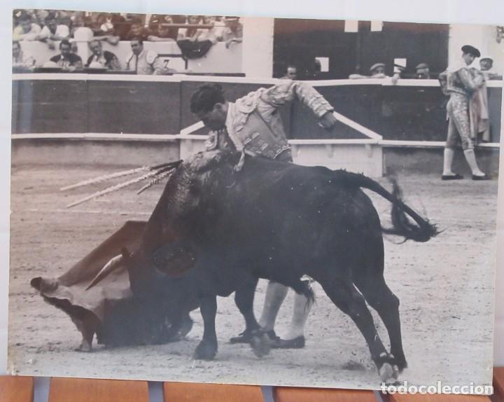 Carteles toros: FOTOGRAF&Iacute;A DE CURRO GIR&Oacute;N - Foto 1