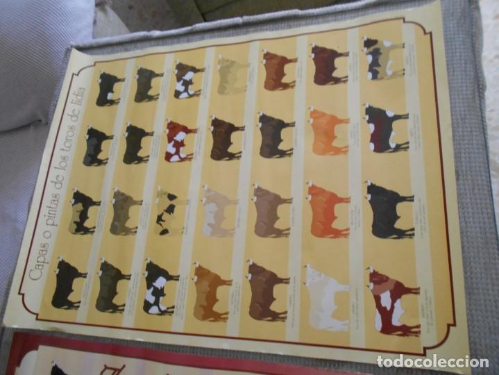 Carteles toros: carteles de toros de toros de lidia - Foto 1