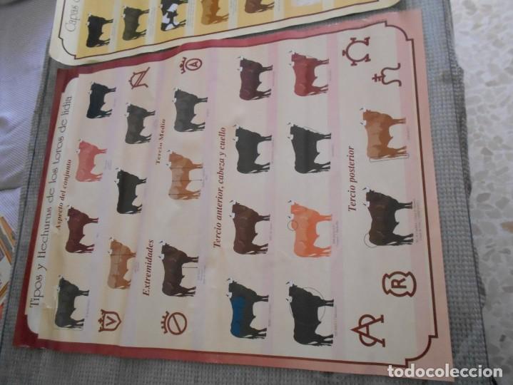 Carteles toros: carteles de toros de toros de lidia - Foto 2