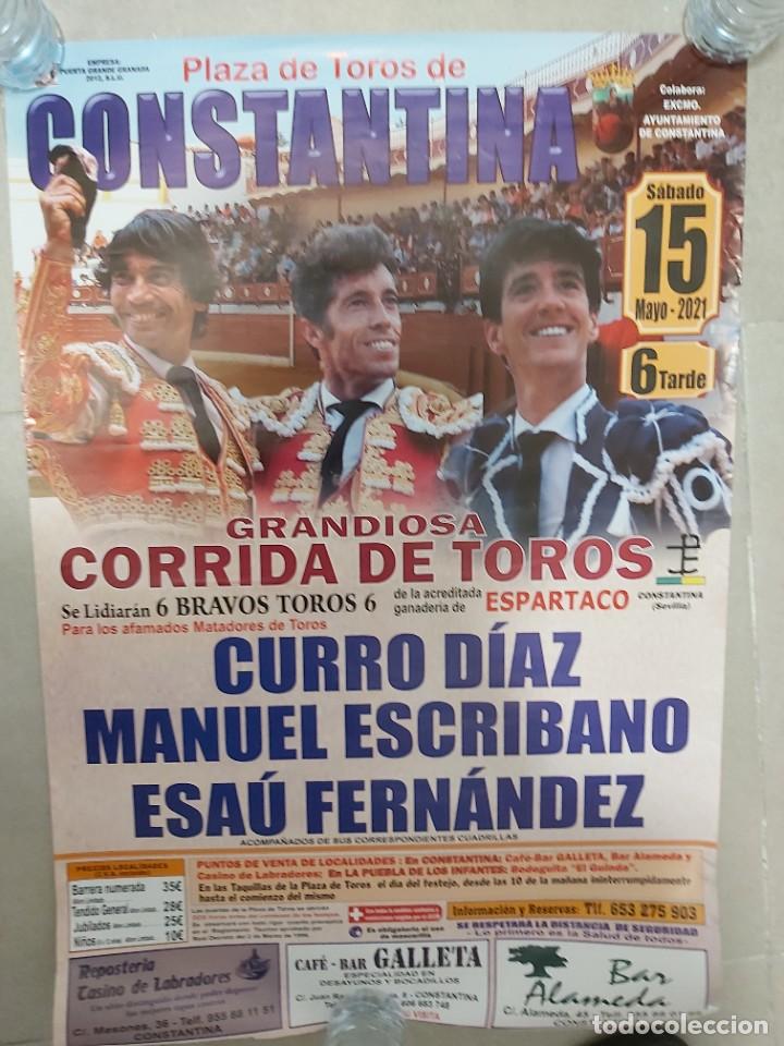 Carteles toros: Cartel toros constantina - Foto 1