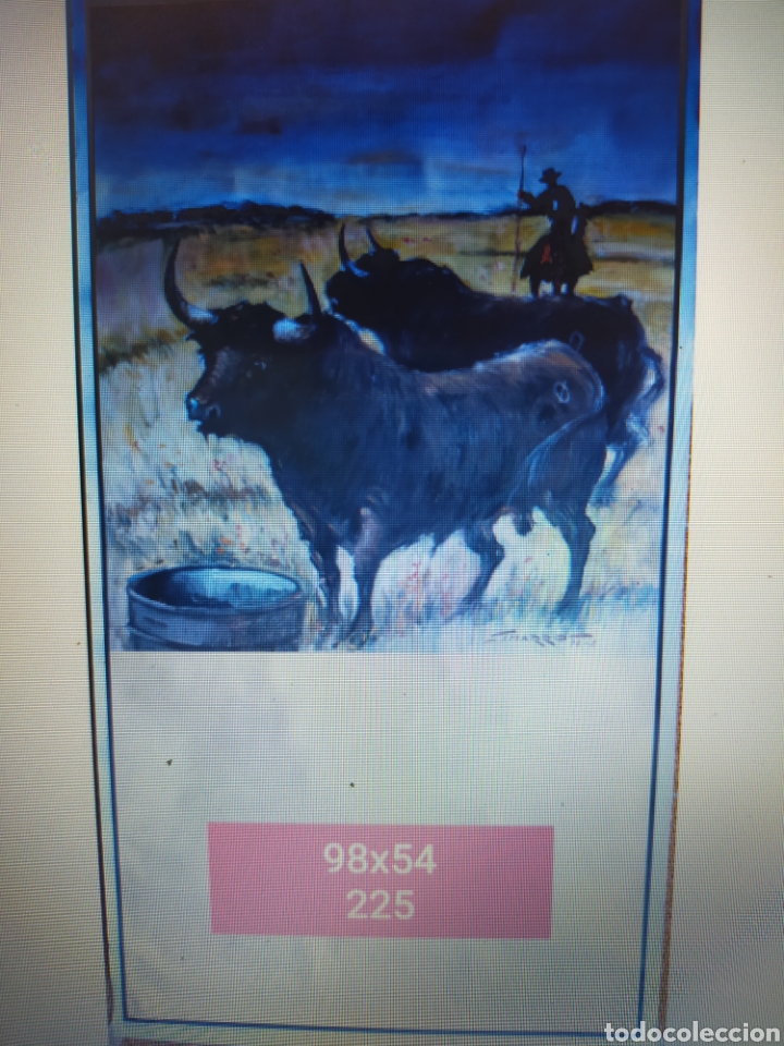 Carteles toros: Cartel toros virgen Simarro - Foto 1