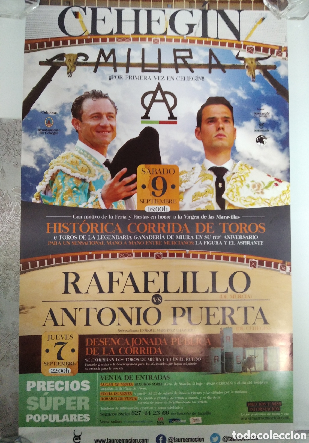 Carteles toros: CARTEL DE TOROS EN CEHEG&Iacute;N - Foto 1